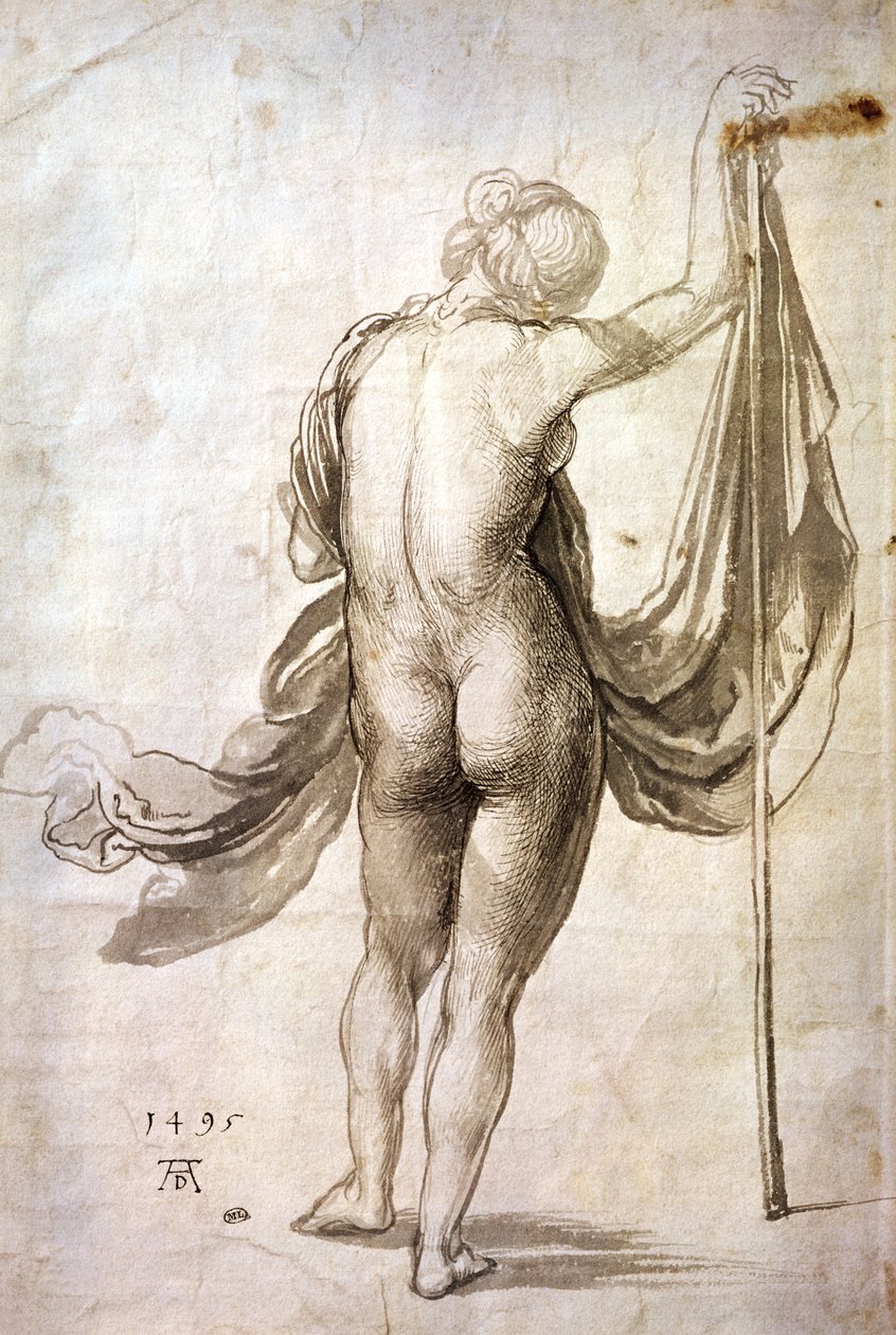Nagie studium lub naga kobieta z tyłu autorstwa Albrecht Dürer