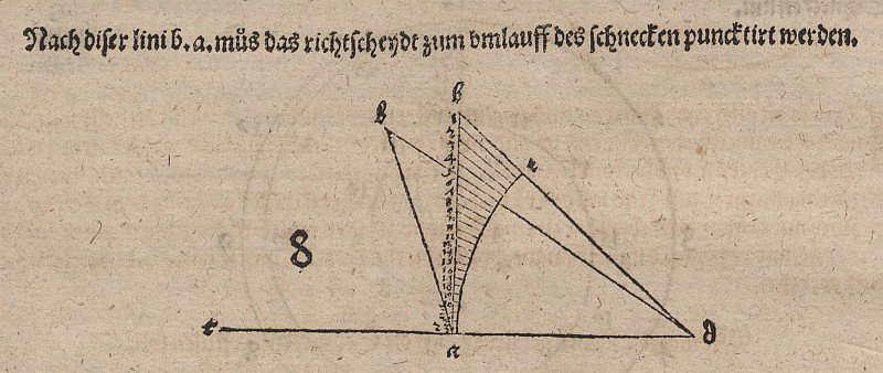 Spirala styczna i krewni autorstwa Albrecht Dürer