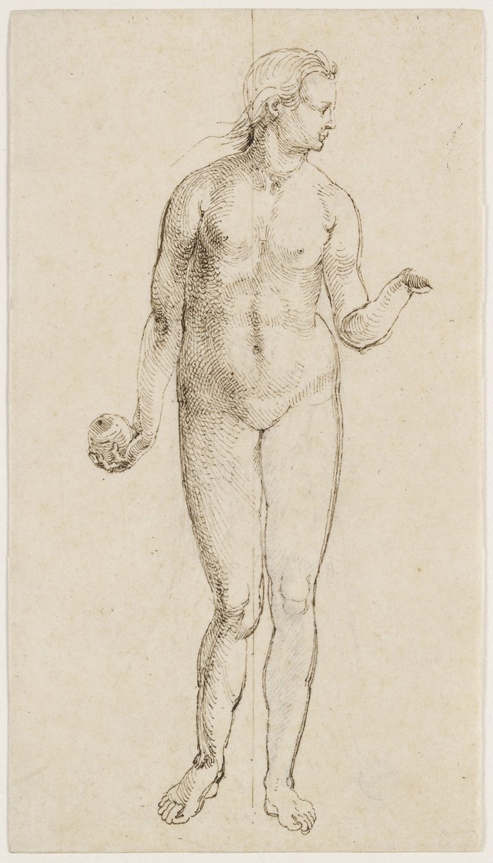 Ewa (pióro i tusz indyjski na papierze) autorstwa Albrecht Dürer