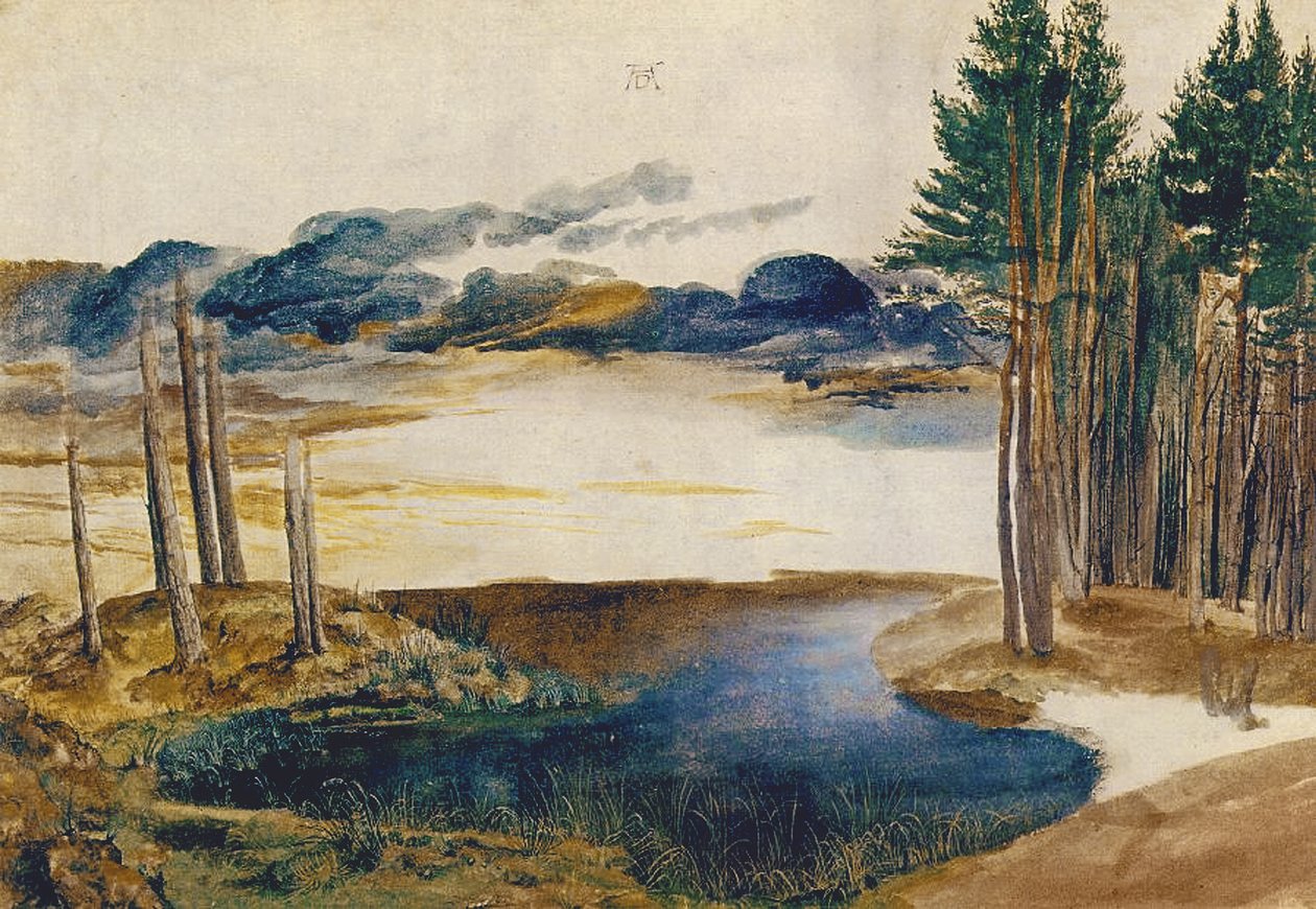 Staw w lesie, ok. 1496 (wc i gwasz na papierze) autorstwa Albrecht Dürer