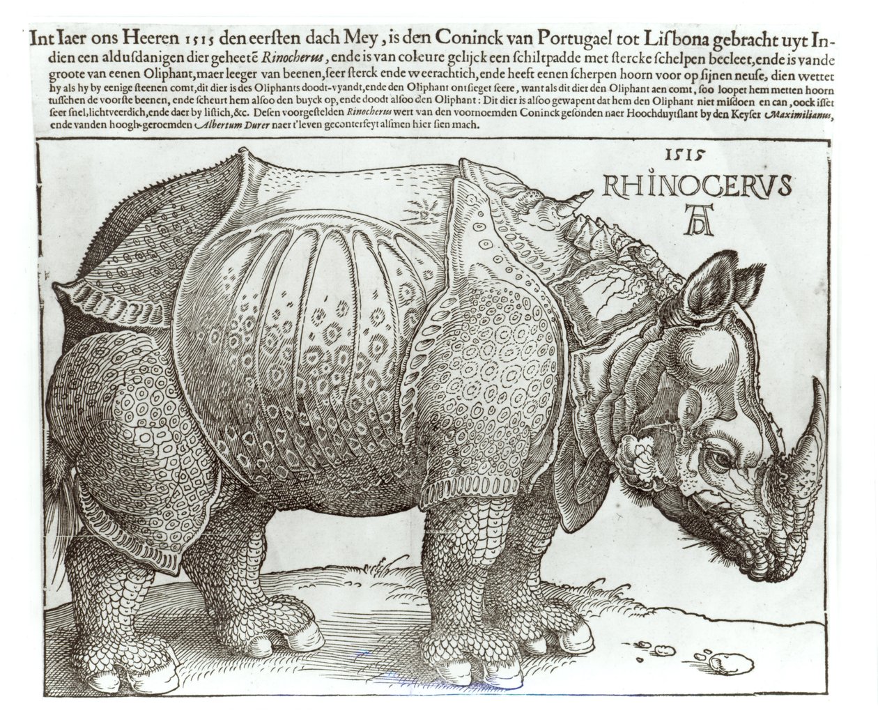 Nosorożec, grafika podarowana Maksymilianowi I (1459-1519) przez króla Lizbony (1495-1521), 1515 autorstwa Albrecht Dürer