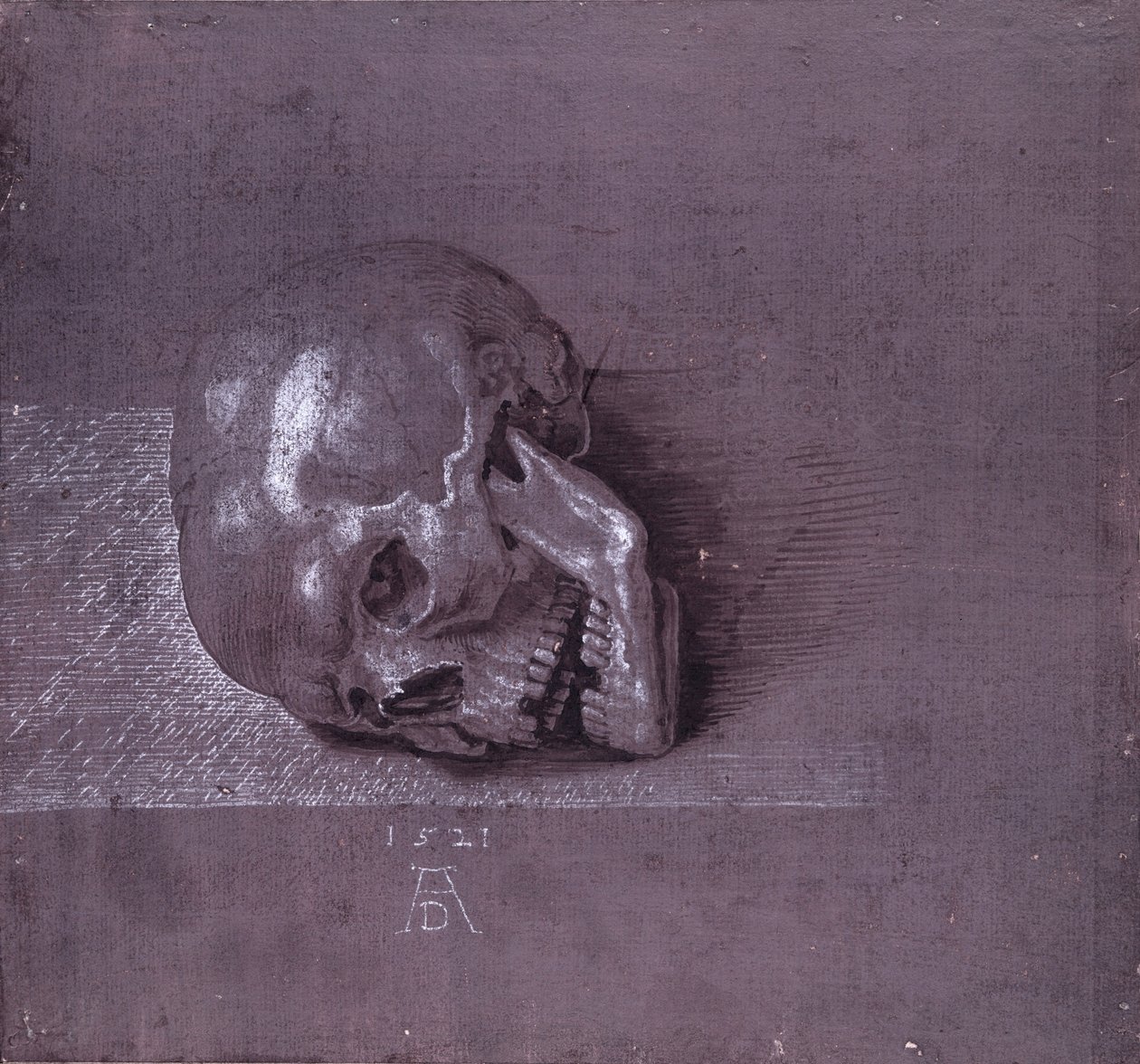 Studium ludzkiej czaszki, 1521 (pióro, atrament i kreda na papierze) autorstwa Albrecht Dürer