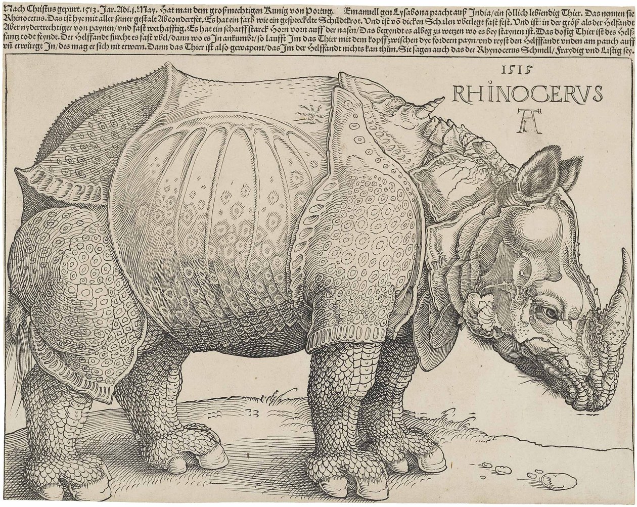 Nosorożec, 1515 autorstwa Albrecht Dürer