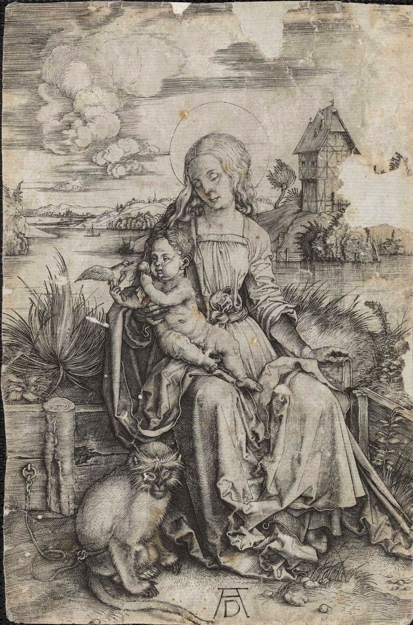 Dziewica i Dziecko z małpką autorstwa Albrecht Dürer