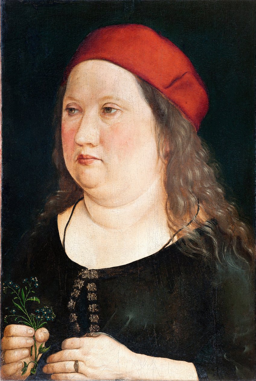 Nieznany opiekun autorstwa Albrecht (attr. to) Durer or Duerer