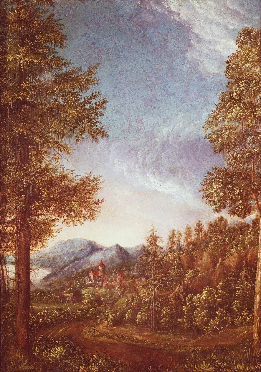 Krajobraz Dunaju z zamkiem Worth, ok. 1522-25 (pergamin na buku) autorstwa Albrecht Altdorfer