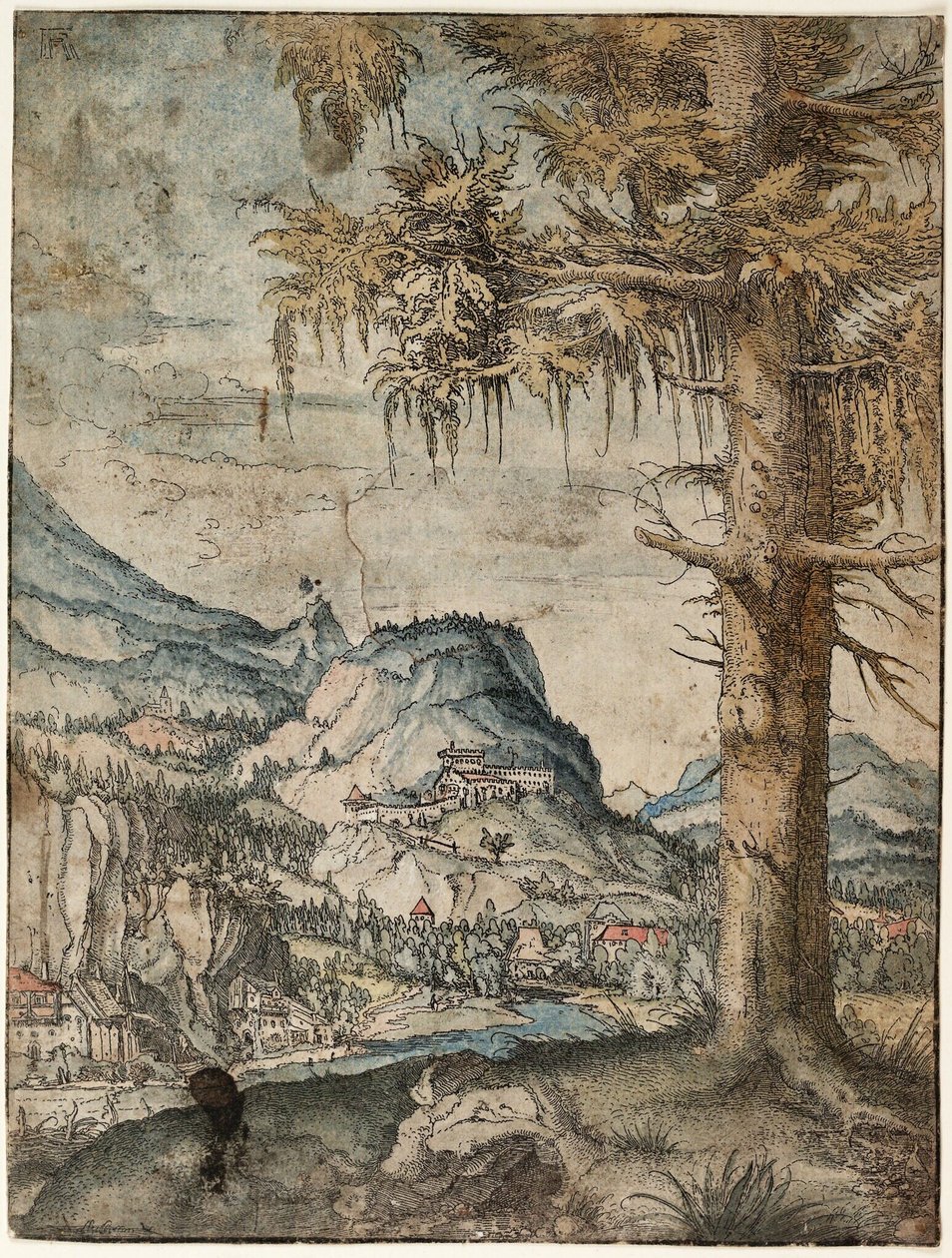 Niemiecki: Duży świerk Duży świerk autorstwa Albrecht Altdorfer