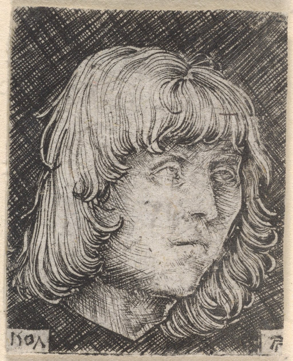 Głowa młodego mężczyzny autorstwa Albrecht Altdorfer