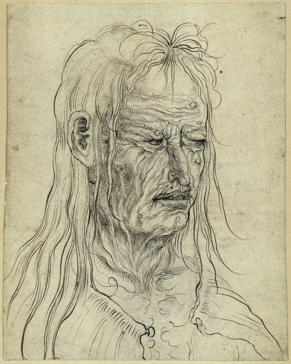 Głowa brzydkiej staruszki, zwrócona w prawo autorstwa Albrecht Altdorfer