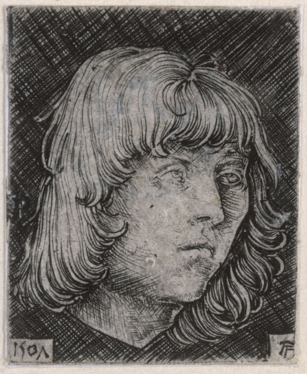 Głowa młodego mężczyzny autorstwa Albrecht Altdorfer