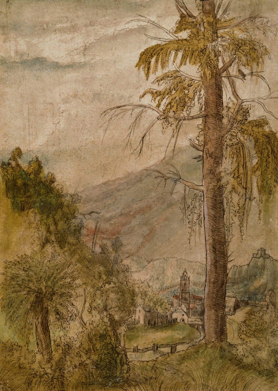Krajobraz z kościołem autorstwa Albrecht Altdorfer