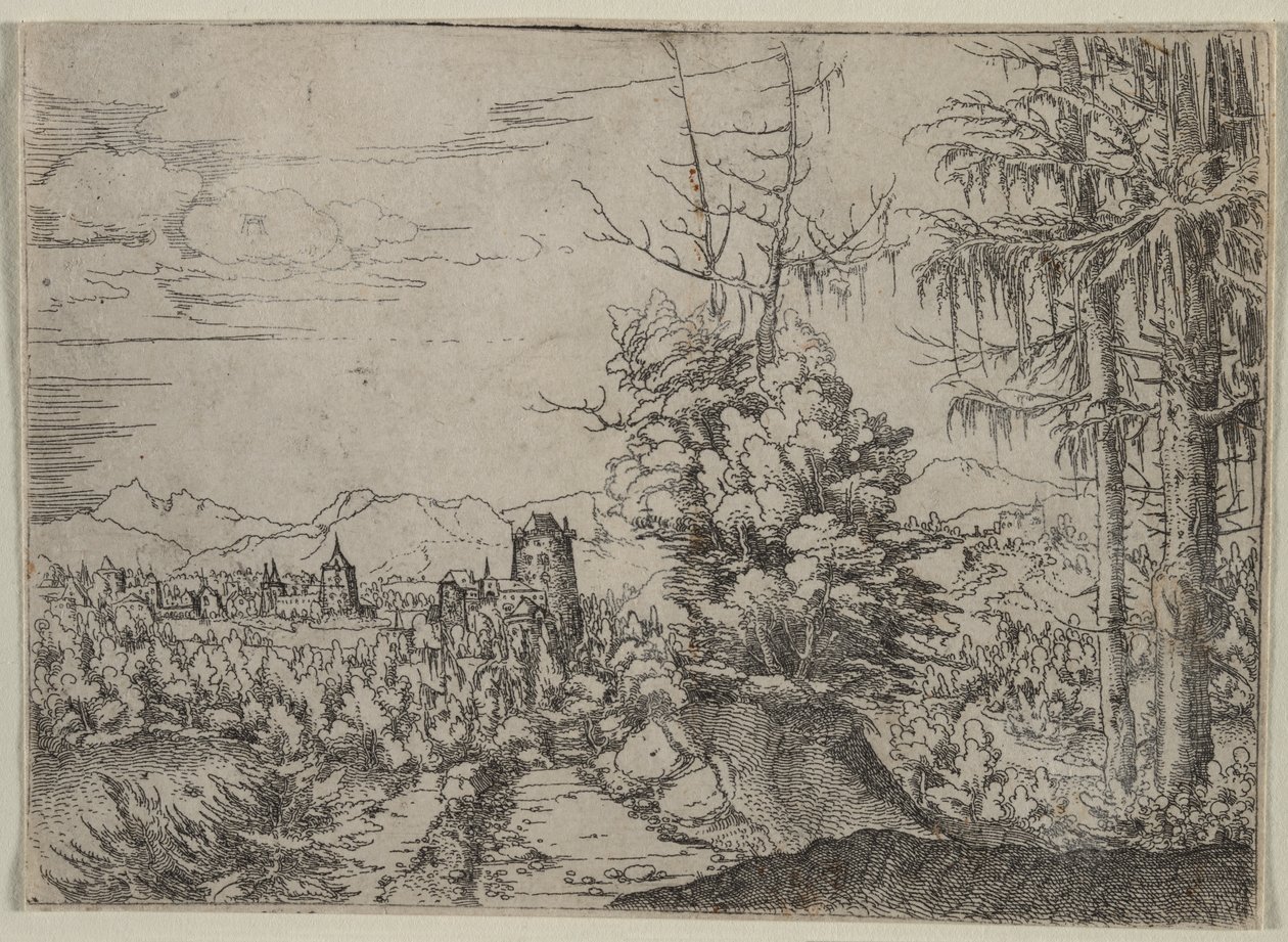 Krajobraz z dwiema sosnami autorstwa Albrecht Altdorfer