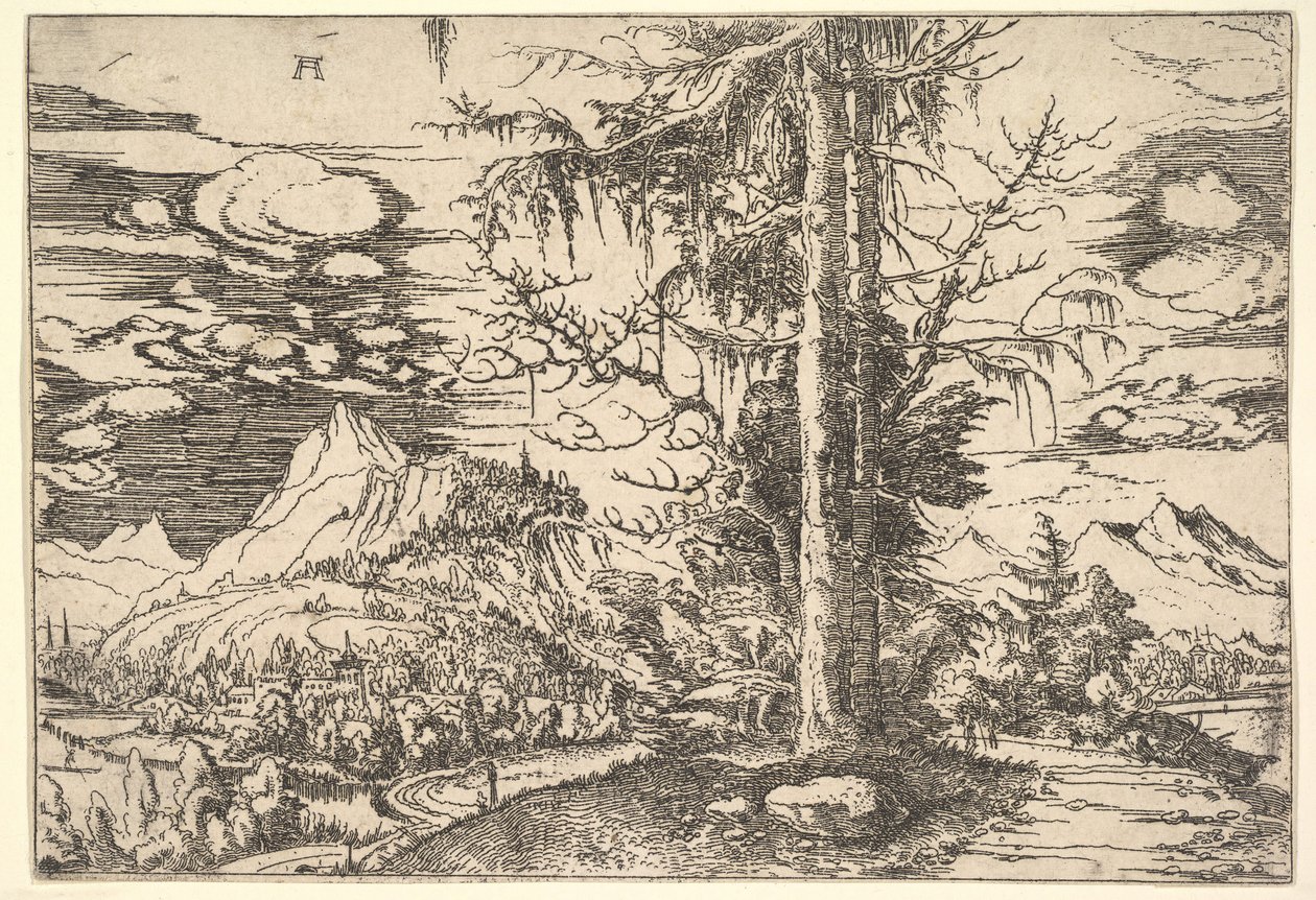 Pejzaż z Podwójnym Świerkiem, ca. 1521-22. autorstwa Albrecht Altdorfer