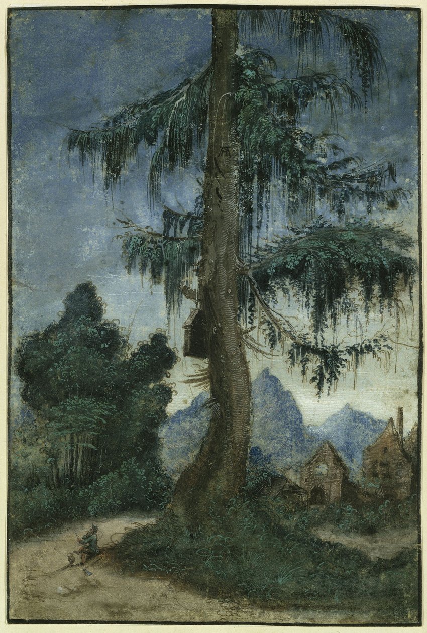 Krajobraz ze świerkiem autorstwa Albrecht Altdorfer