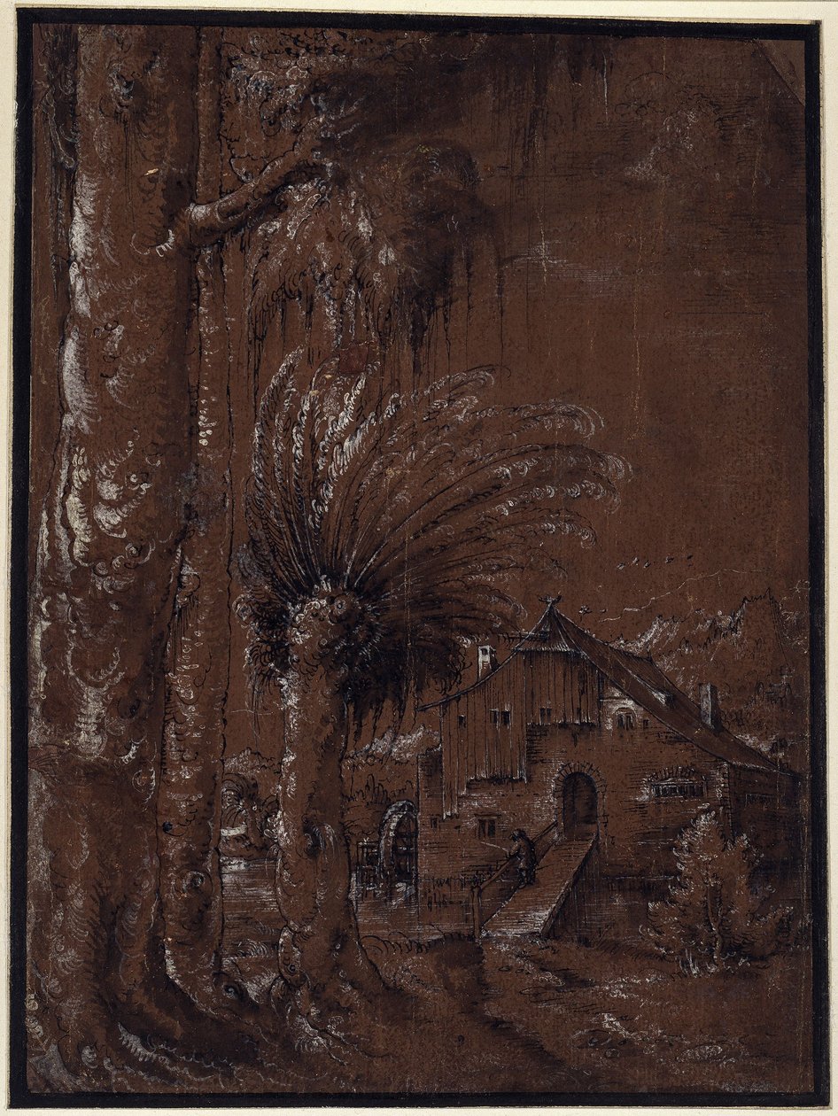 Pejzaż z młynem wodnym autorstwa Albrecht Altdorfer