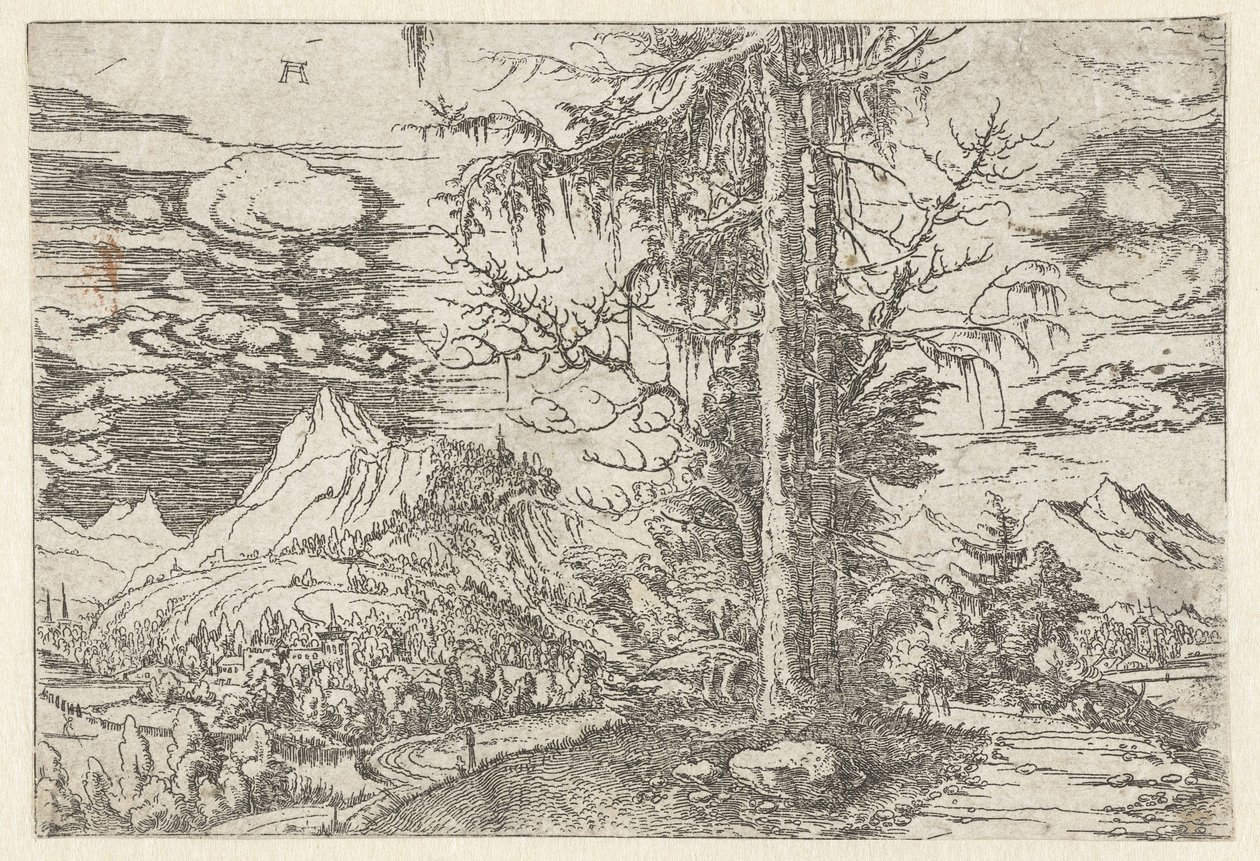 Krajobraz z podwójną jodłą autorstwa Albrecht Altdorfer