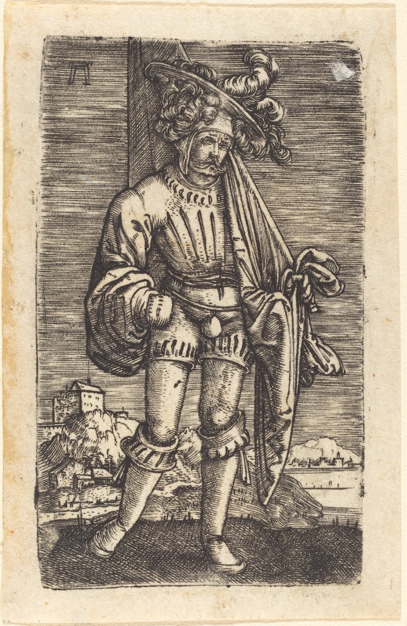 Mały chorąży autorstwa Albrecht Altdorfer
