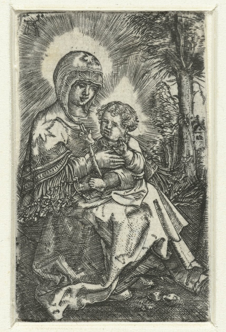 Maria spotkała się z życzliwością w krajobrazie Piękna Maria z Ratyzbony autorstwa Albrecht Altdorfer