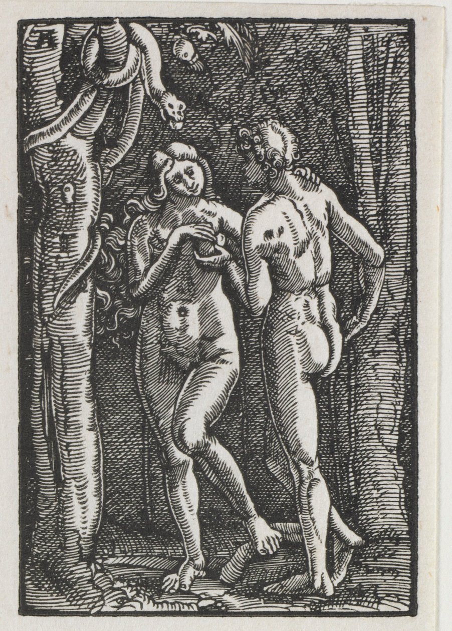 Upadek i odkupienie człowieka: Adam i Ewa jedzący zakazany owoc, c. 1513. autorstwa Albrecht Altdorfer