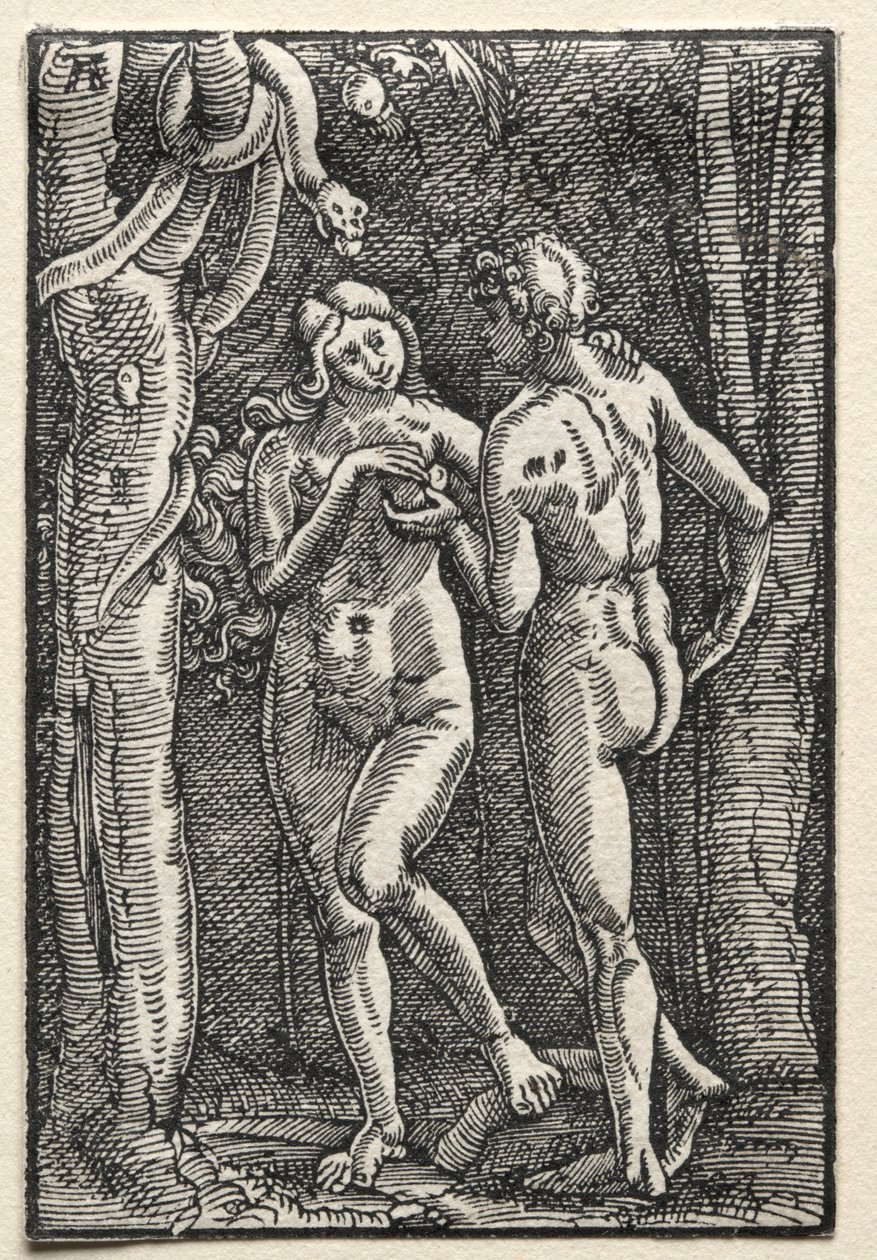 Upadek i odkupienie człowieka: Adam i Ewa jedzący zakazany owoc, c. 1515. autorstwa Albrecht Altdorfer