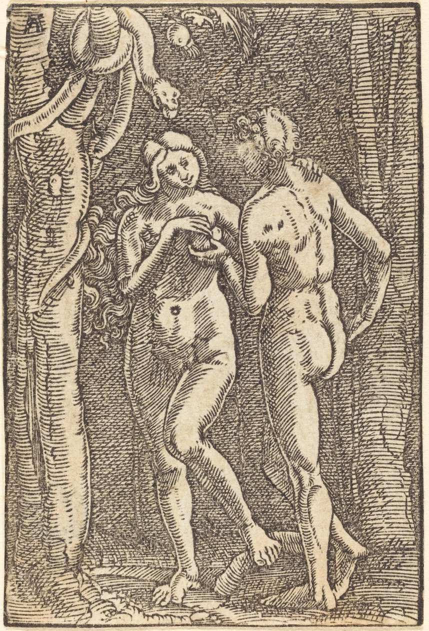Upadek człowieka autorstwa Albrecht Altdorfer