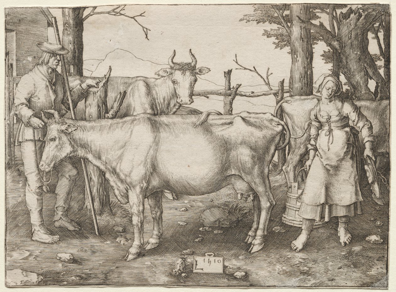Dojarka autorstwa Albrecht Altdorfer