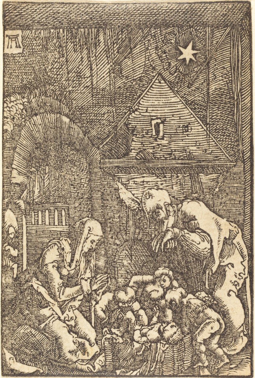 Narodzenie Chrystusa autorstwa Albrecht Altdorfer