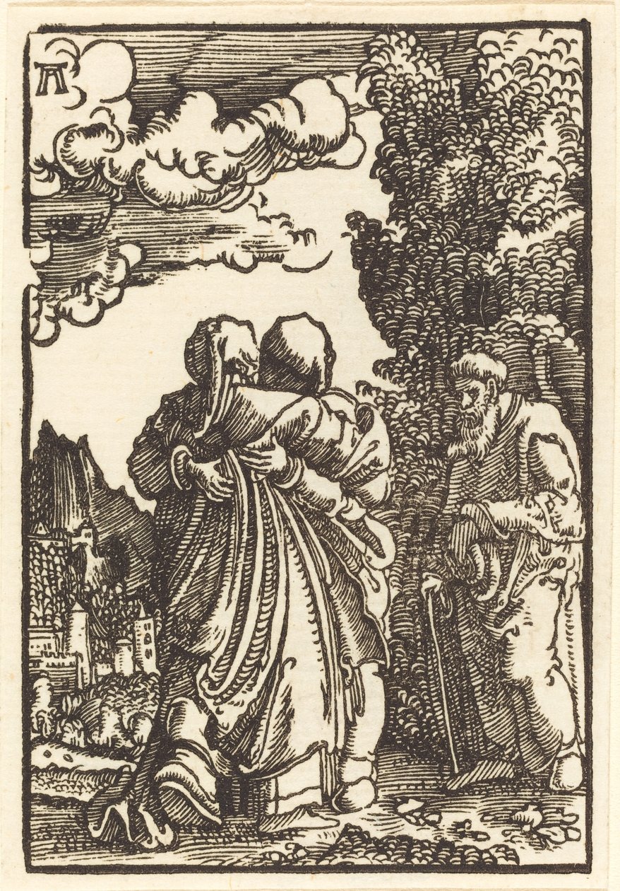 Nawiedzenie Matki Boskiej autorstwa Albrecht Altdorfer