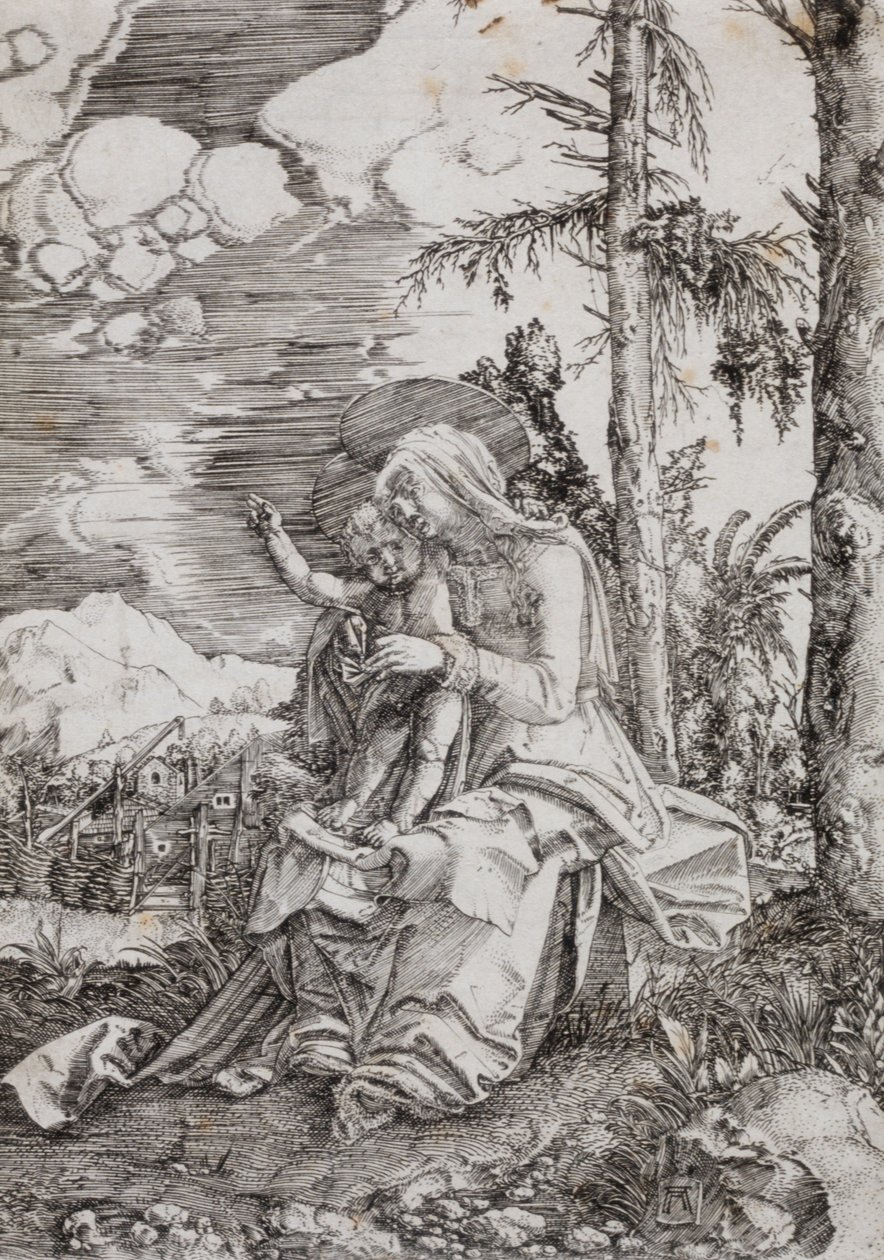 Matka Boska z Dzieciątkiem w pejzażu autorstwa Albrecht Altdorfer