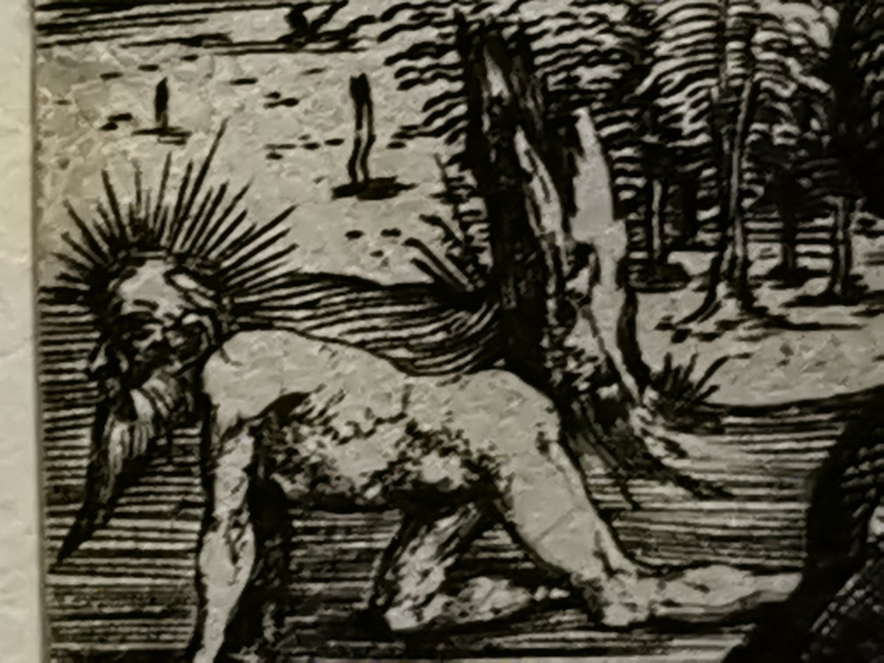 2021 - Druga lipcowa partia Mateus2019 (72) autorstwa Albrecht Dürer