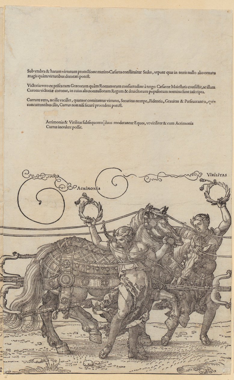 Acrimonia, plansza 6 z serii „Wielki wóz triumfalny” autorstwa Albrecht Dürer