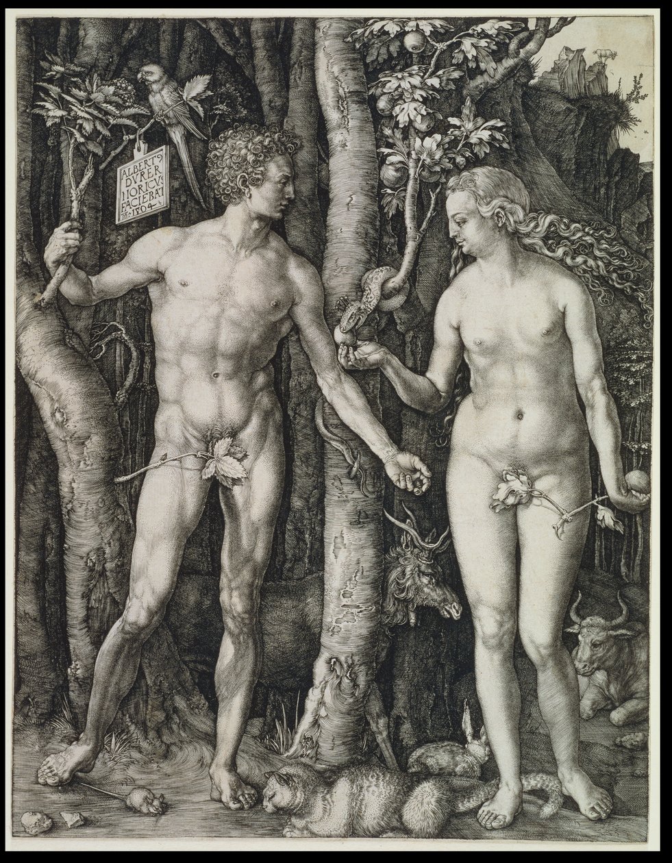 Adam i Ewa (Upadek człowieka) autorstwa Albrecht Dürer