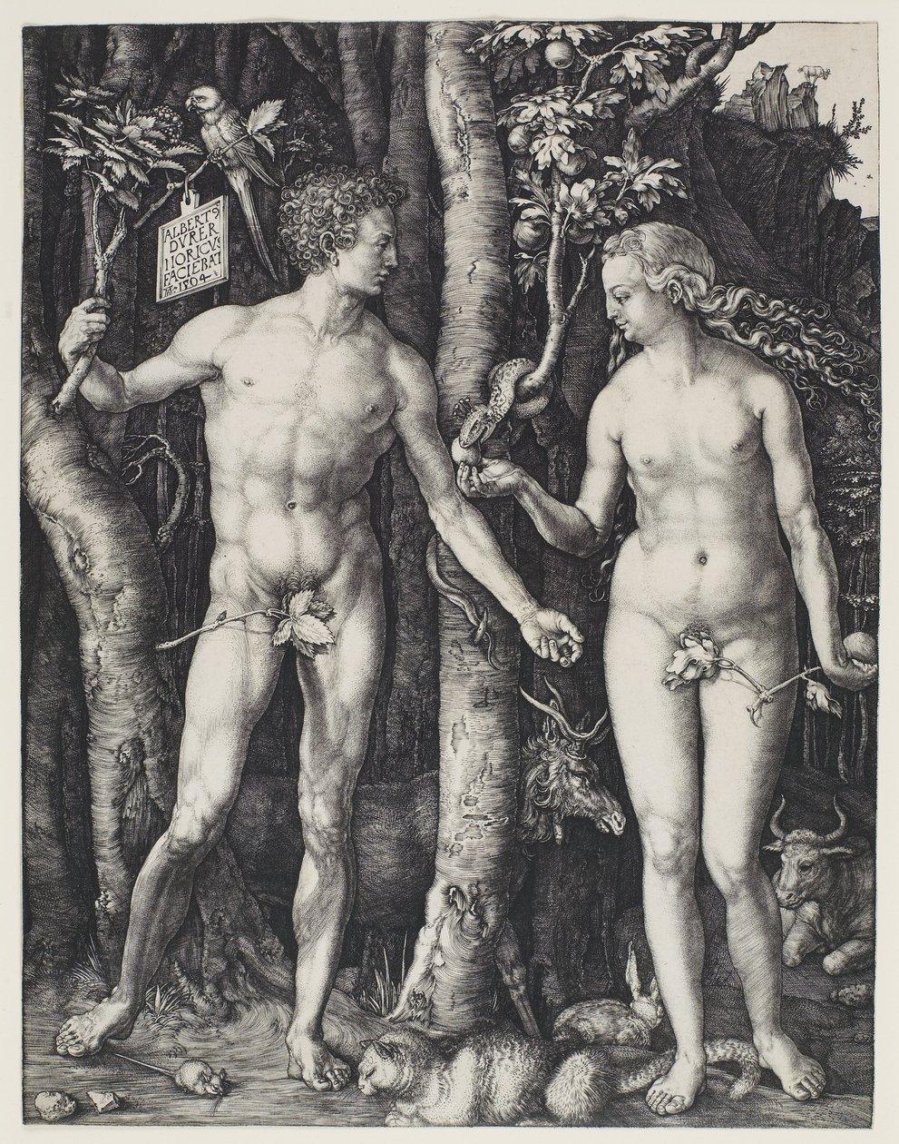 Adam i Ewa autorstwa Albrecht Dürer