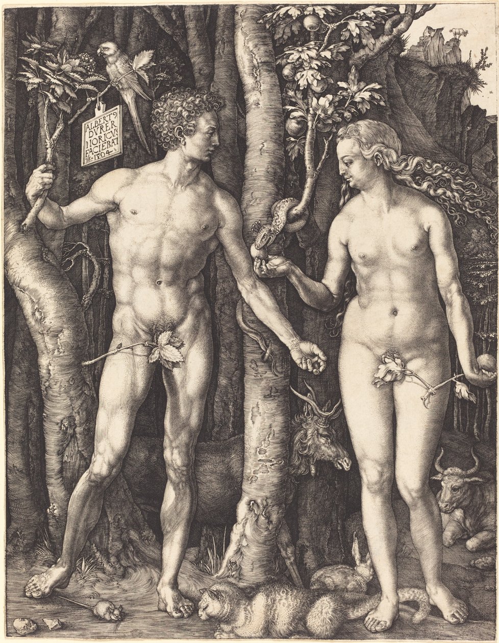 Adam i Ewa autorstwa Albrecht Dürer