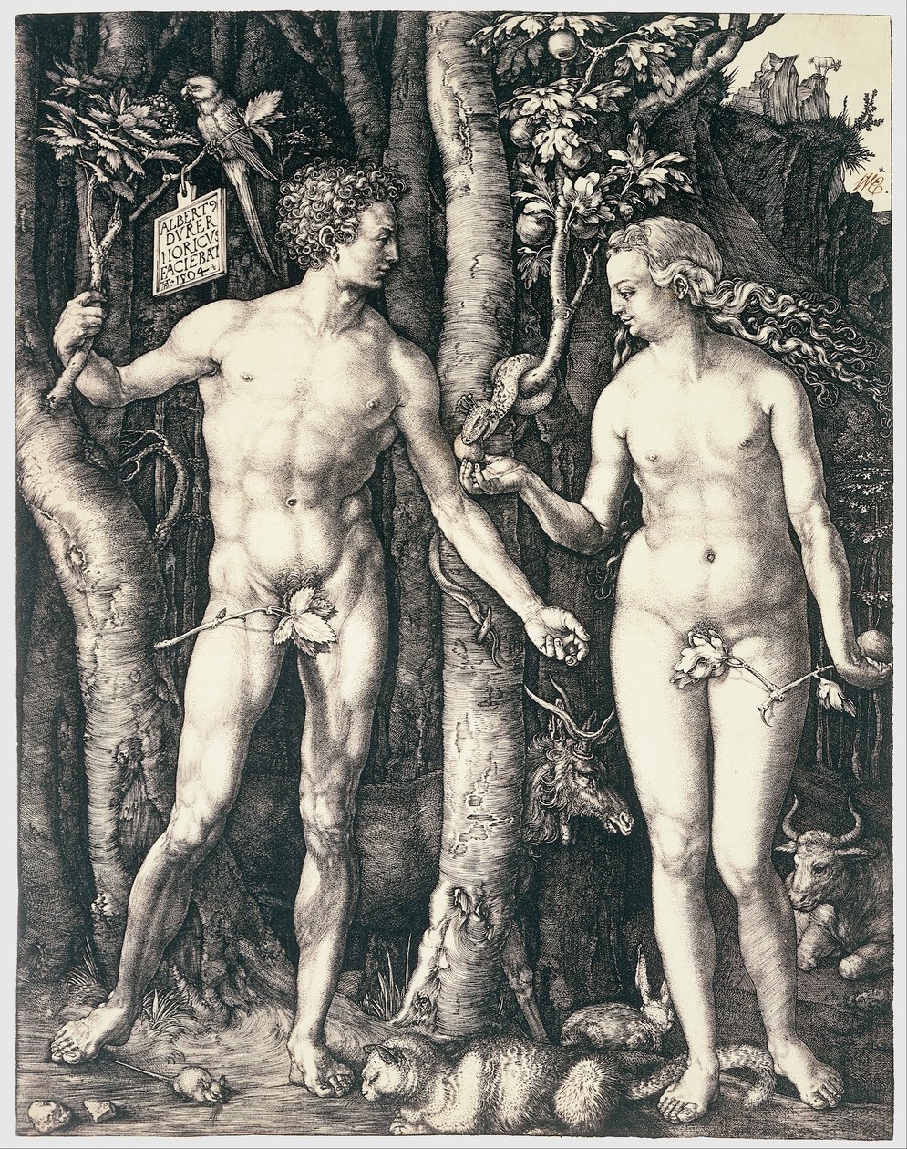 Adam i Ewa autorstwa Albrecht Dürer