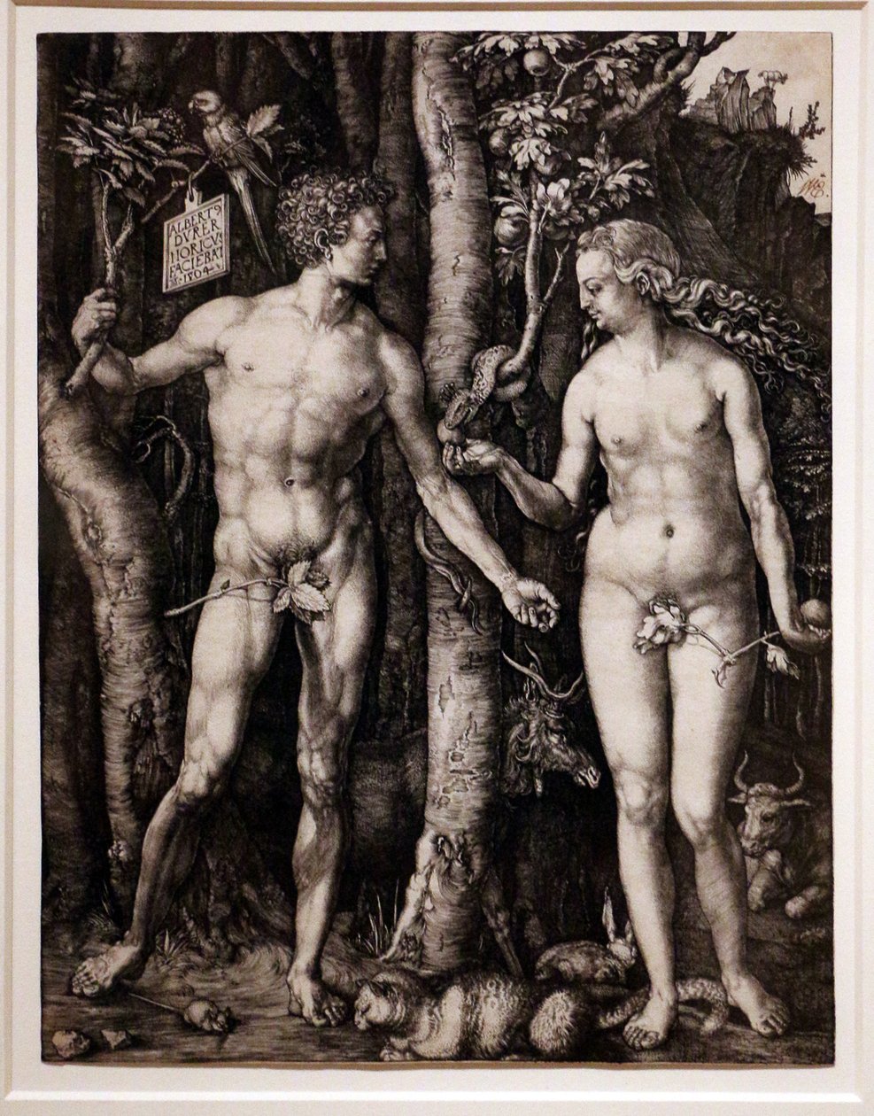 Adam i Ewa autorstwa Albrecht Dürer
