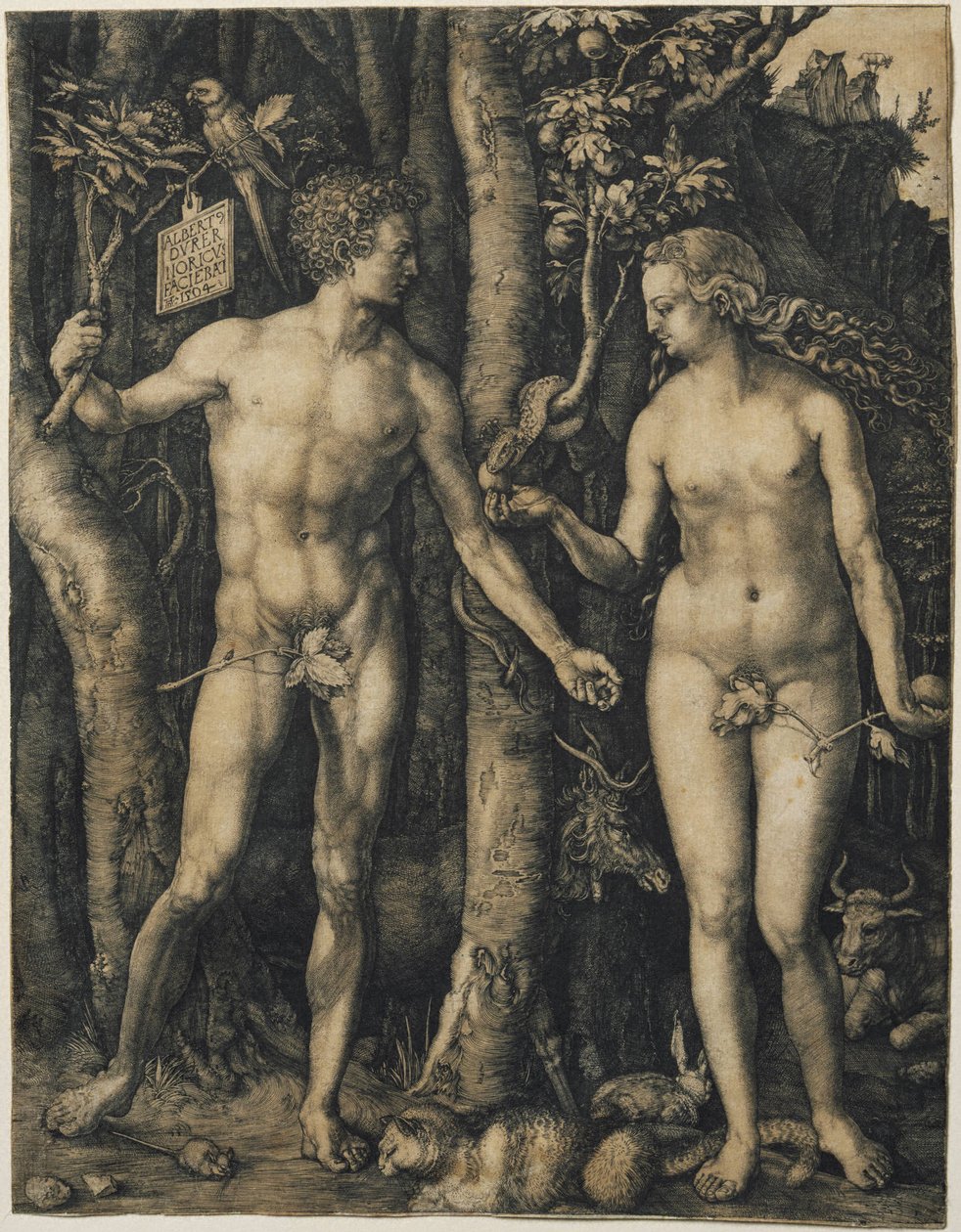 Adam i Ewa autorstwa Albrecht Dürer