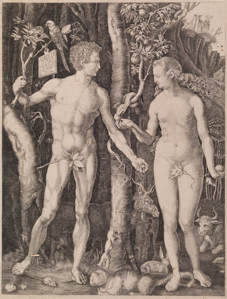 Adam i Ewa autorstwa Albrecht Dürer