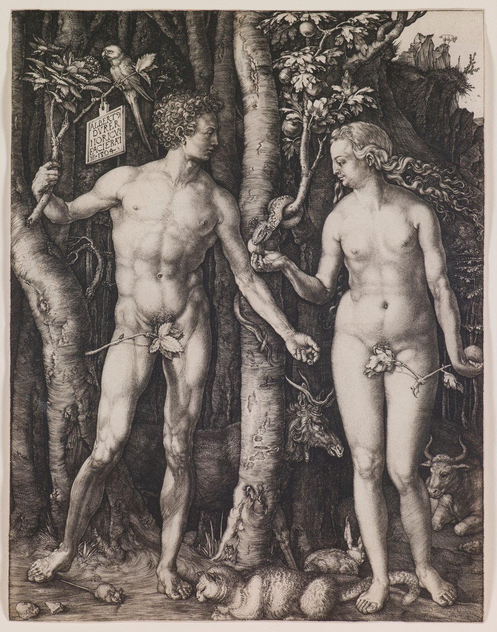 Adam i Ewa autorstwa Albrecht Dürer