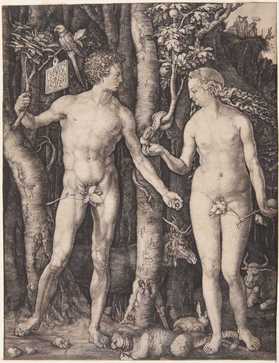 Adam i Ewa autorstwa Albrecht Dürer