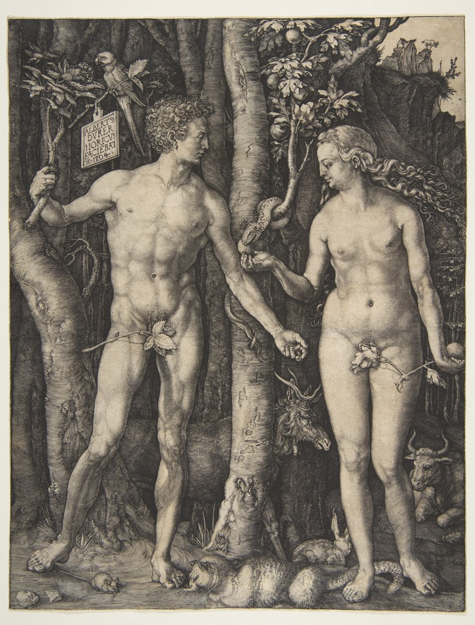 Adam i Ewa autorstwa Albrecht Dürer