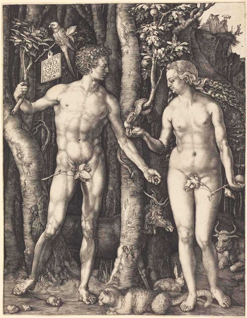 Adam i Ewa autorstwa Albrecht Dürer