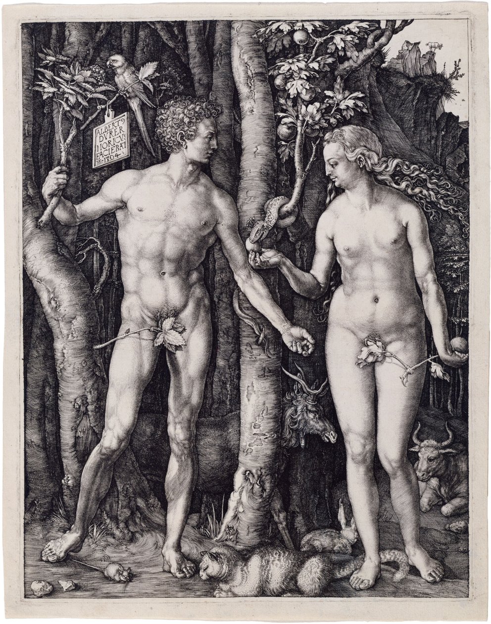 Adam i Ewa autorstwa Albrecht Dürer