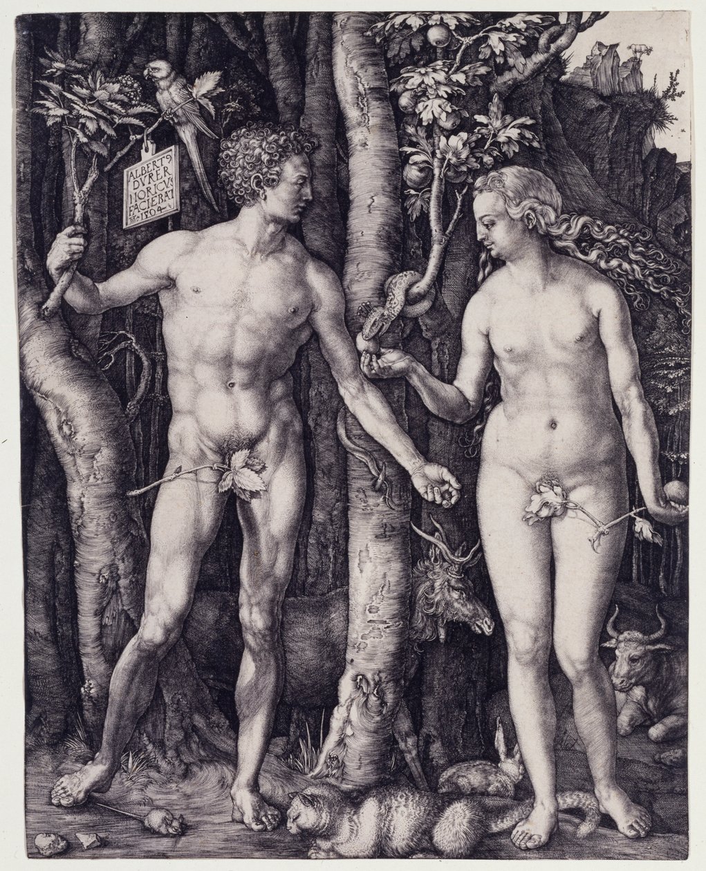 Adam i Ewa autorstwa Albrecht Dürer