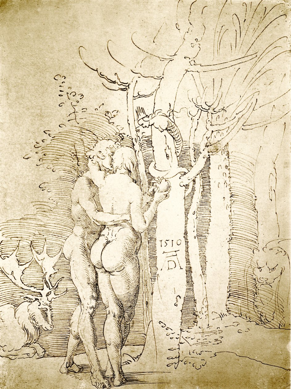 Adam i Ewa autorstwa Albrecht Dürer