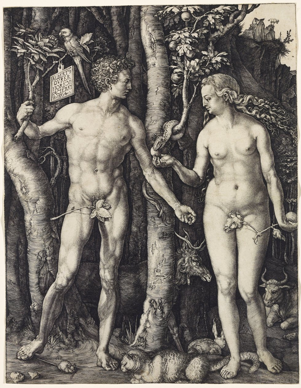 Adam i Ewa autorstwa Albrecht Dürer