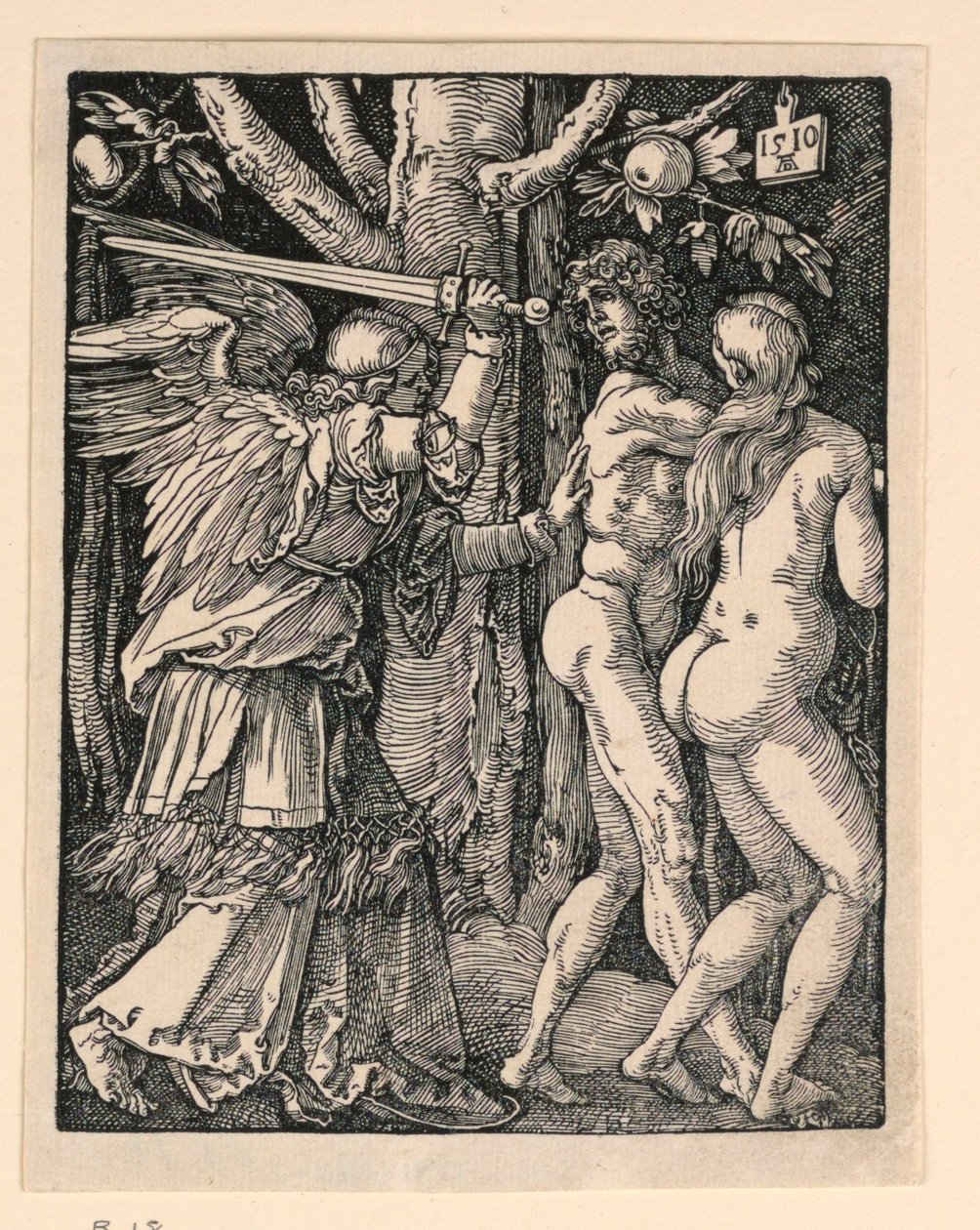 Adam i Ewa wygnani z raju, z serialu Mała pasja autorstwa Albrecht Dürer