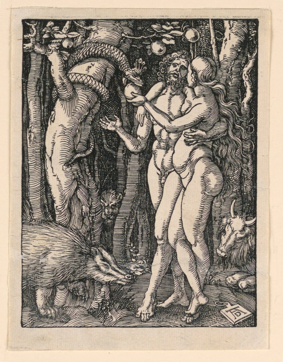 Adam i Even, z serialu Mała pasja autorstwa Albrecht Dürer
