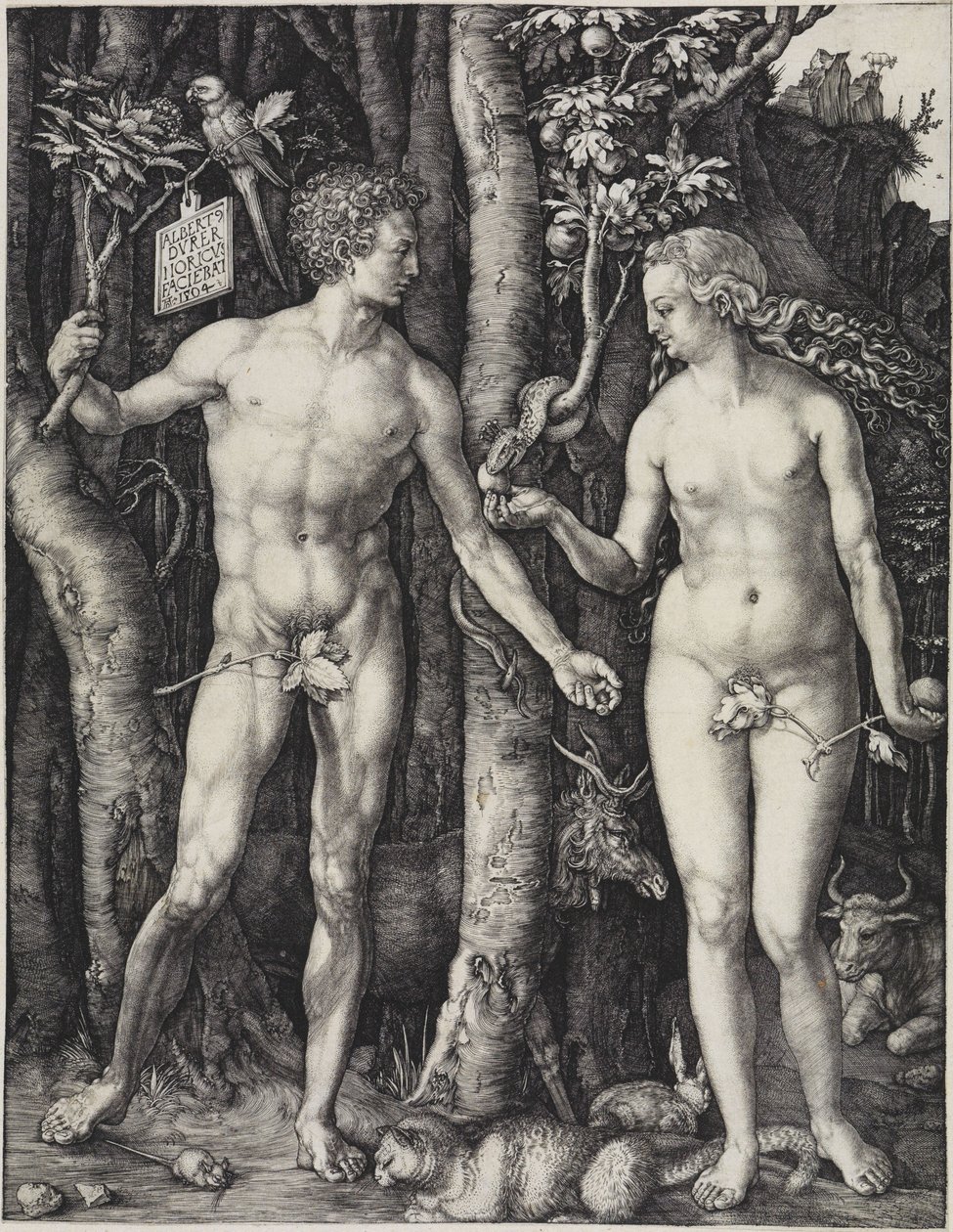 Adam i Ewa autorstwa Albrecht Dürer