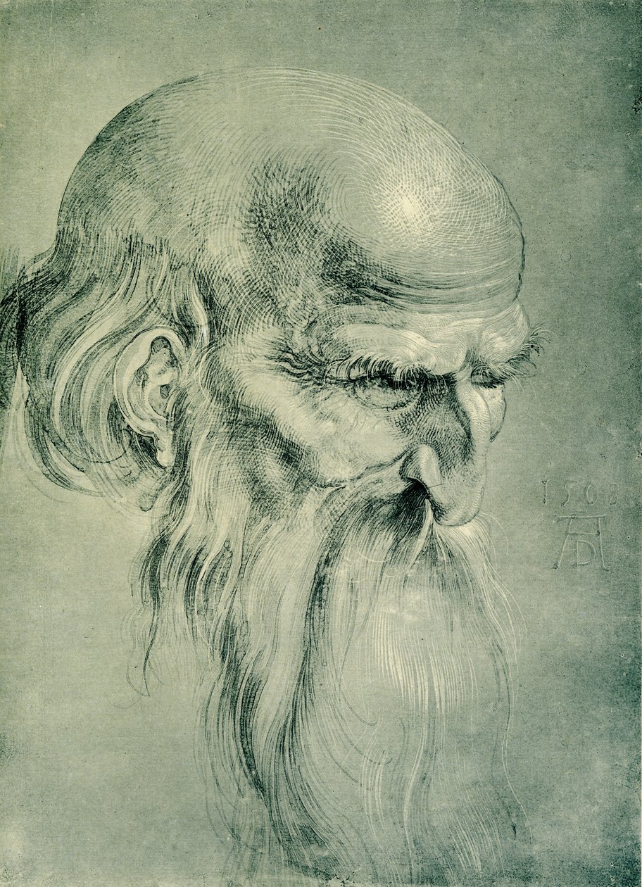 Głowa Apostoła autorstwa Albrecht Dürer